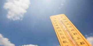 Assessing the Health of Your Supply Chain: A Comprehensive Guide news-10082024-143153