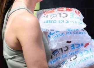 Prepare for Heatwave: British Gas Advises Stockpiling ‘Bags of Ice’ news-13082024-124936