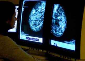 Young Cancer Patients Share Common Dietary Habit, Doctor Reveals news-16082024-192143