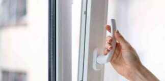 Prepare for Spider Invasion: How to Keep Spiders Out of Your Home This August news-21082024-002524