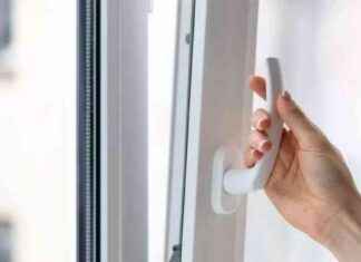 Prepare for Spider Invasion: How to Keep Spiders Out of Your Home This August news-21082024-002524