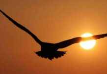 UK Weather Forecast: Indian Summer Heatwave Hits England news-13092024-142844