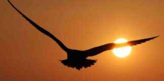 UK Weather Forecast: Indian Summer Heatwave Hits England news-13092024-142844