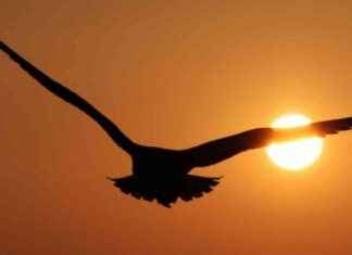 UK Weather Forecast: Indian Summer Heatwave Hits England news-13092024-142844