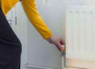 Save up to £344 by Agreeing to Spend £4: British Gas, OVO, EDF, Octopus Customers Benefit news-16092024-211653