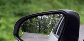 Keep Spiders Away from Your Car with Lemon Peel – Effective Tips for Drivers news-22092024-143607