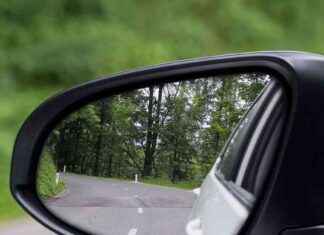 Keep Spiders Away from Your Car with Lemon Peel – Effective Tips for Drivers news-22092024-143607