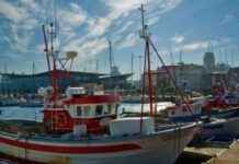 Warning for UK Tourists: £29 Entry Charge for Spain Soon news-24092024-091815