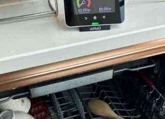 UK Households Rewarded £63 Each for Ditching Dishwasher Habits news-25092024-152800