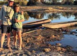 Tourist Attacked by Hippo on Vacation Recounts Terrifying Encounter news-26092024-030814