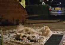 Stadium Flooded by Sudden Downpours: Brown Water Gushes from Drains news-27092024-050202