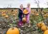Best Pumpkin Picking Patches with Halloween Treats near Birmingham news-12102024-062339