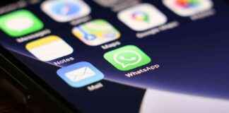 Man’s Vile Sex Chats with Schoolgirl Spark Concerns for His Safety news-15102024-073817