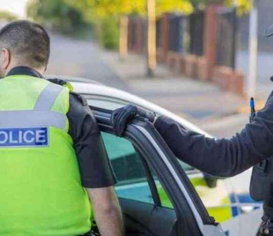 Investigation Reveals Multiple Cannabis Grows in Connection with Stolen Vehicle news-15102024-194623