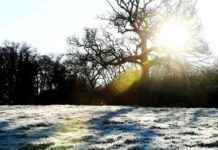 Ice warning issued for Birmingham and Black Country following heavy snowfall news-19112024-215635