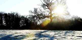 Ice warning issued for Birmingham and Black Country following heavy snowfall news-19112024-215635