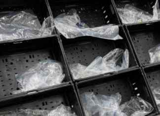 Morrisons Addresses Shortages: Response to Shopper Outrage news-27112024-173622