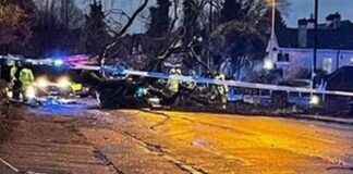 Fatal Storm Darragh: Tree Falls on Car, Man Killed in Birmingham fatal-storm-darragh-tree-falls-on-car-man-killed-in-birmingham