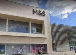 M&S Sale: £19 Bestselling Jumper Reduced and Selling Out Fast ms-sale-19-bestselling-jumper-reduced-and-selling-out-fast