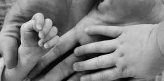 Latin Meaning: Morning Star Gives Birth and Shares Special Name – 80 characters latin-meaning-morning-star-gives-birth-and-shares-special-name-80-characters