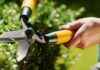 Boost Home Value with Garden Expert’s Key Features boost-home-value-with-garden-experts-key-features