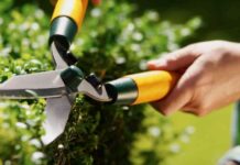 boost-home-value-with-garden-experts-key-features