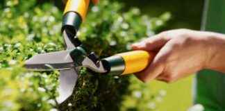 Boost Home Value with Garden Expert’s Key Features boost-home-value-with-garden-experts-key-features
