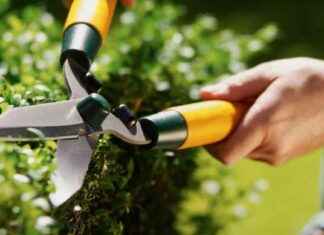 Boost Home Value with Garden Expert’s Key Features boost-home-value-with-garden-experts-key-features