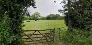 Solihull Green Belt Homes Scheme Approval in Special Circumstances solihull-green-belt-homes-scheme-approval-in-special-circumstances