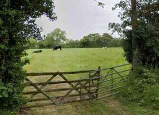 Solihull Green Belt Homes Scheme Approval in Special Circumstances solihull-green-belt-homes-scheme-approval-in-special-circumstances