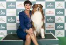 Crufts 2025 Day 4 Winners: Working & Pastoral Breeds List crufts-2025-day-4-winners-working-pastoral-breeds-list