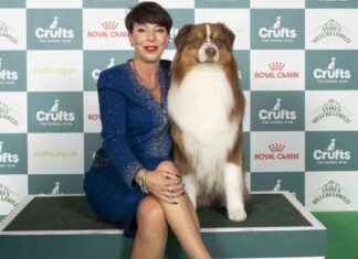 Crufts 2025 Day 4 Winners: Working & Pastoral Breeds List crufts-2025-day-4-winners-working-pastoral-breeds-list