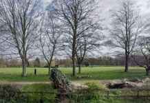 Man stabbed in face and leg in Wolverhampton park man-stabbed-in-face-and-leg-in-wolverhampton-park