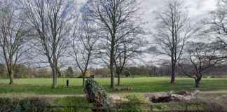 Man stabbed in face and leg in Wolverhampton park man-stabbed-in-face-and-leg-in-wolverhampton-park