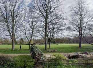 Man stabbed in face and leg in Wolverhampton park man-stabbed-in-face-and-leg-in-wolverhampton-park