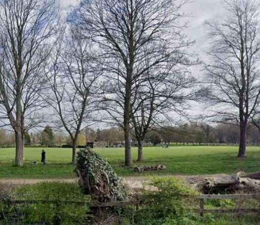 Man stabbed in face and leg in Wolverhampton park man-stabbed-in-face-and-leg-in-wolverhampton-park