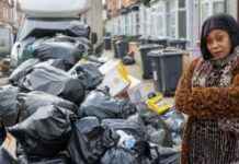 Rat Infestation in Birmingham Streets Prompt All-out Strike Concerns rat-nfestation-in-birmingham-streets-prompt-all-out-strike-concerns