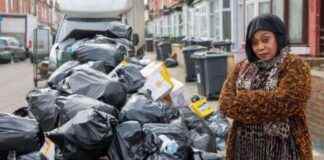 Rat Infestation in Birmingham Streets Prompt All-out Strike Concerns rat-nfestation-in-birmingham-streets-prompt-all-out-strike-concerns