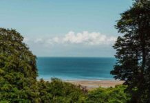 discover-birminghams-hidden-sun-trap-beach-with-golden-sands