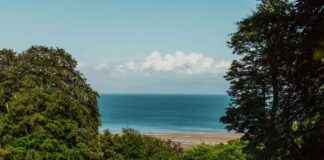 Discover Birmingham’s Hidden Sun Trap Beach with Golden Sands discover-birminghams-hidden-sun-trap-beach-with-golden-sands