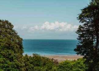 Discover Birmingham’s Hidden Sun Trap Beach with Golden Sands discover-birminghams-hidden-sun-trap-beach-with-golden-sands