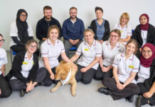 Promoting Dog Health in Birmingham: Tips for Responsible Pet Owners Promoting Dog Health in Birmingham