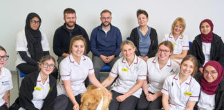 Promoting Dog Health in Birmingham: Tips for Responsible Pet Owners Promoting Dog Health in Birmingham
